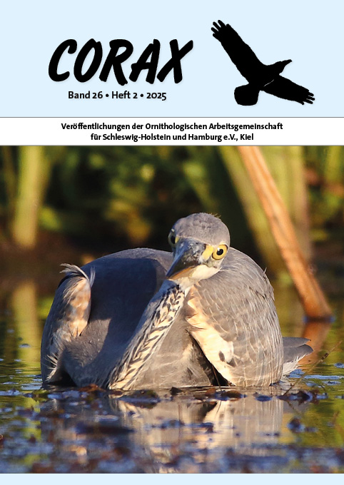 					Ansehen Bd. 26 Nr. 2 (2025)
				